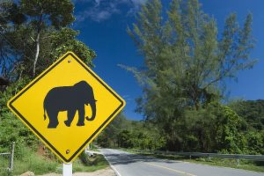 Thailand Verkeersborden olifant weg Weekendtrip naar Khao Yai
