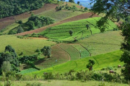 Gerelateerde tour 2-daagse trekking Kalaw naar Inle Lake