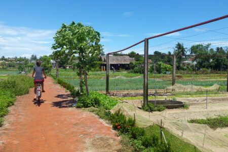 Gerelateerde tour Plattelandstour Hoi An per fiets