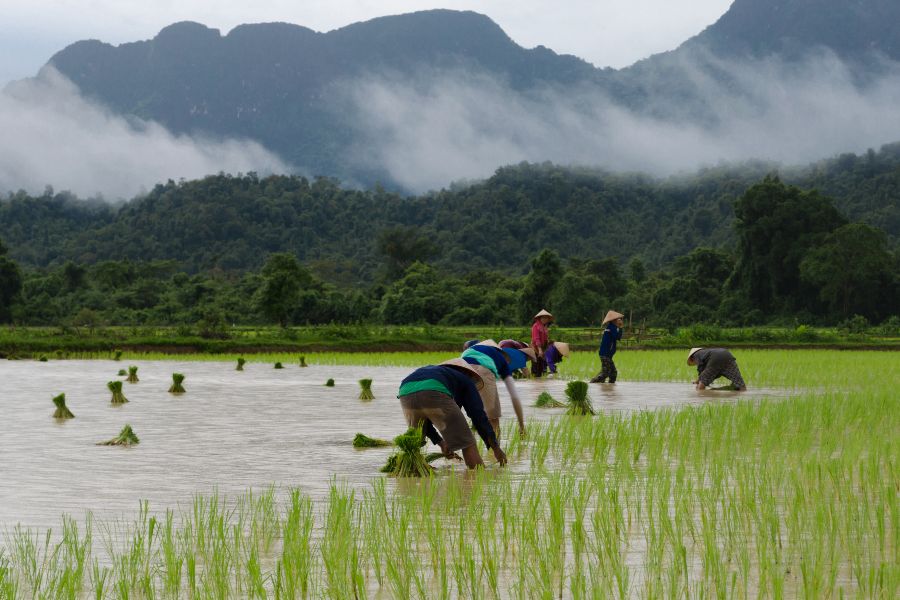 Dag 6: Phonsavan – Vang Vieng