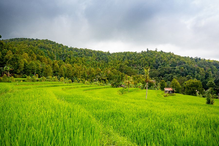 indonesie bali munduk