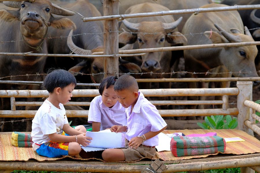 thailand kinderen studeren platteland familie