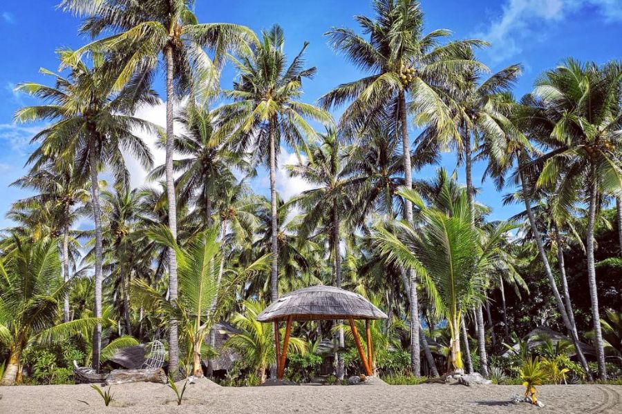 indonesie maumere coconut garden beach resort 2891