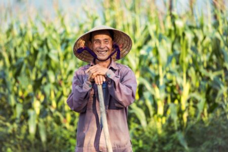 Gerelateerde tour 22-daagse rondreis Fair Deal Vietnam (Zuid naar Noord)