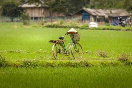 Gerelateerde tour 17-daagse rondreis Fair Deal Vietnam