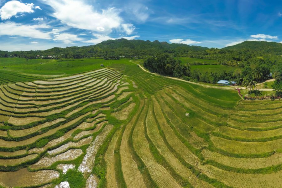 filipijnen bohol candijay rijstterrassen