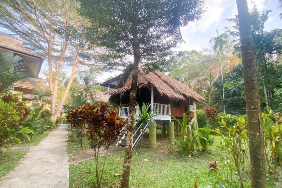 thailand koh sok khao sok jungle huts resort 3553