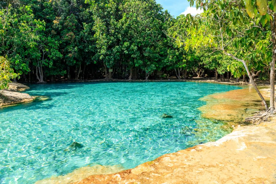 thailand krabi emerald pool