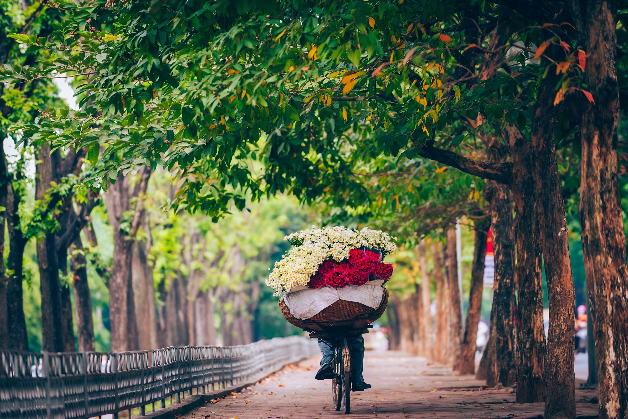 Blog artikel 'Hanoi. Dit wil je niet missen!'