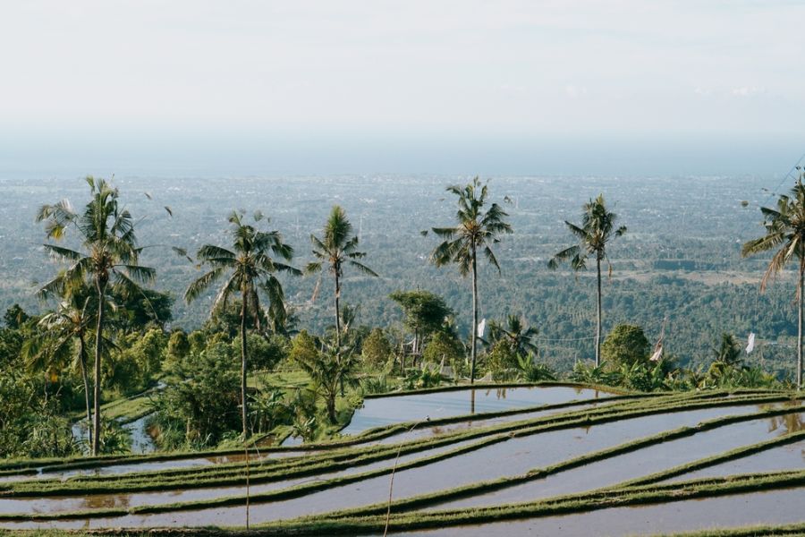 indonesie bali lovina sambangan