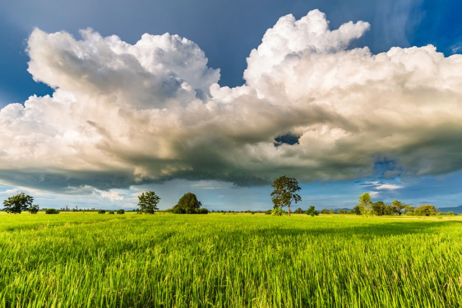 Thailand regenachtig landschap