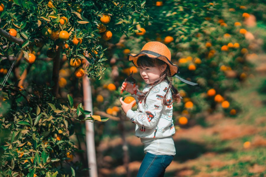 thailand chiang mai meisje sinaasappels kinderen