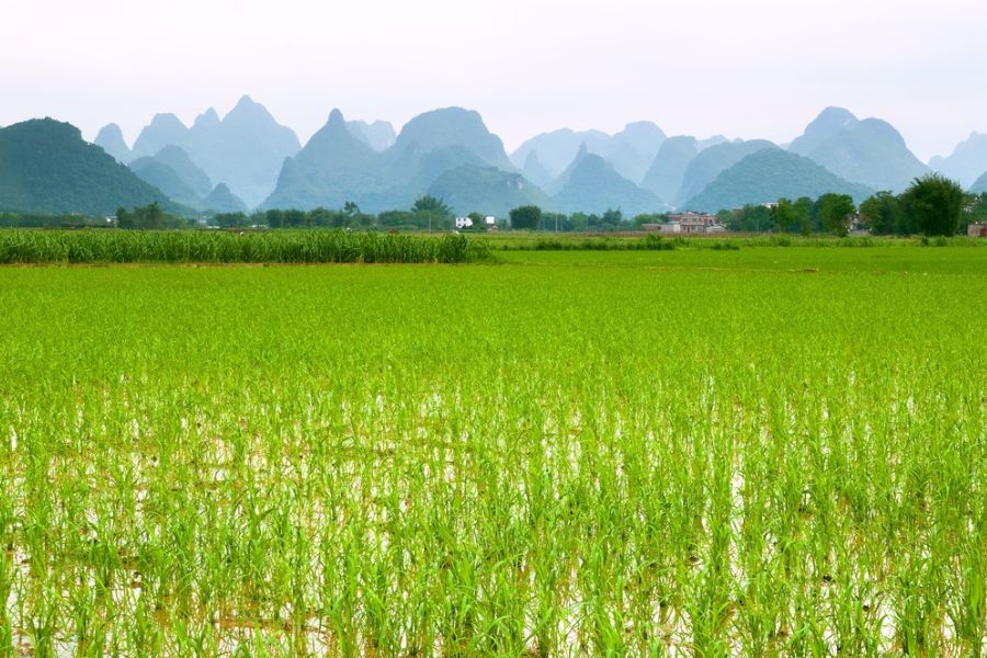 Dag 13: Yangshuo