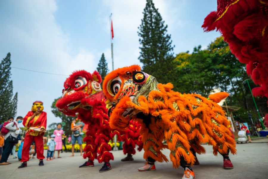 vietnam tet vietnamees nieuwjaar straatshow