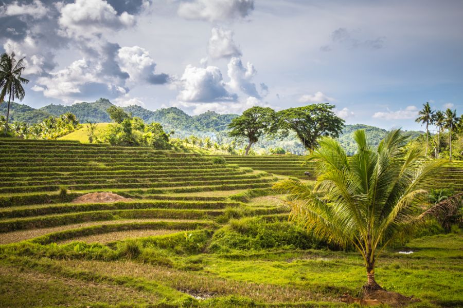 filipijnen bohol anda cadapdapan rijstterrassen