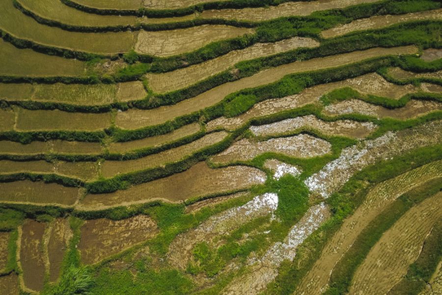 filipijnen bohol anda cadapdapan rijstterrassen