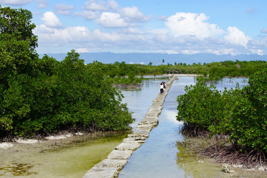 filipijnen mactan olango island bird wildlife sanctuary