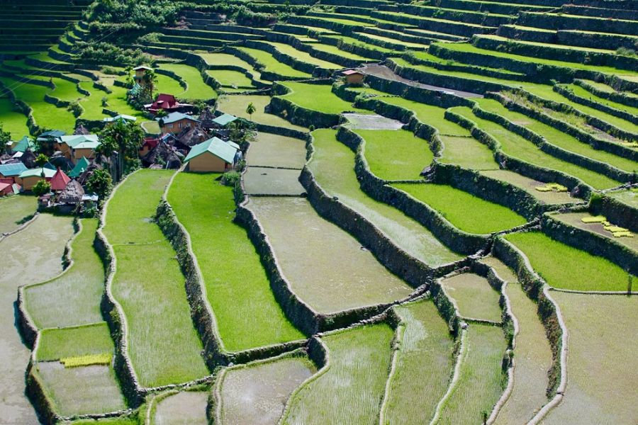 filipijnen banaue rijstterrassen