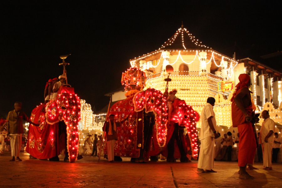 sri lanka kandy esala perahera festival